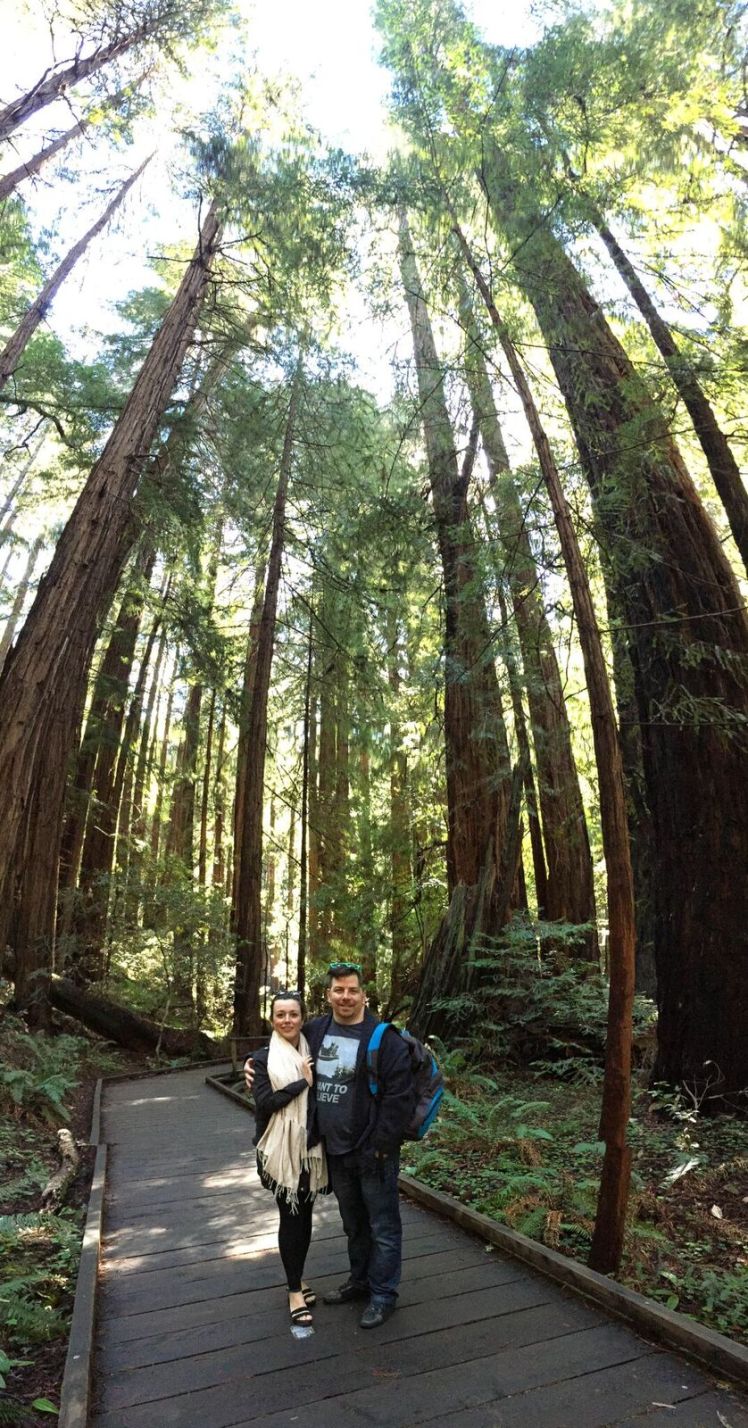 Muir Woods 11