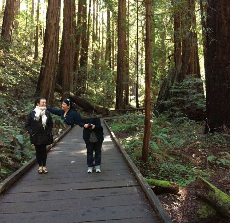 Muir Woods 9