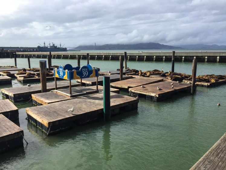 Pier 39 (3)