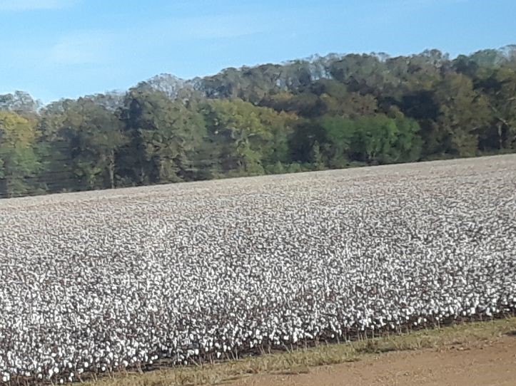 Resized_20191103_153853_5536 (1)