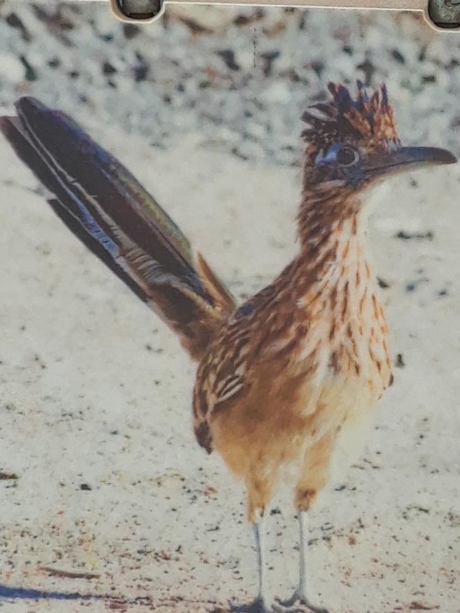 Resized_20191110_122756_8134 (3)