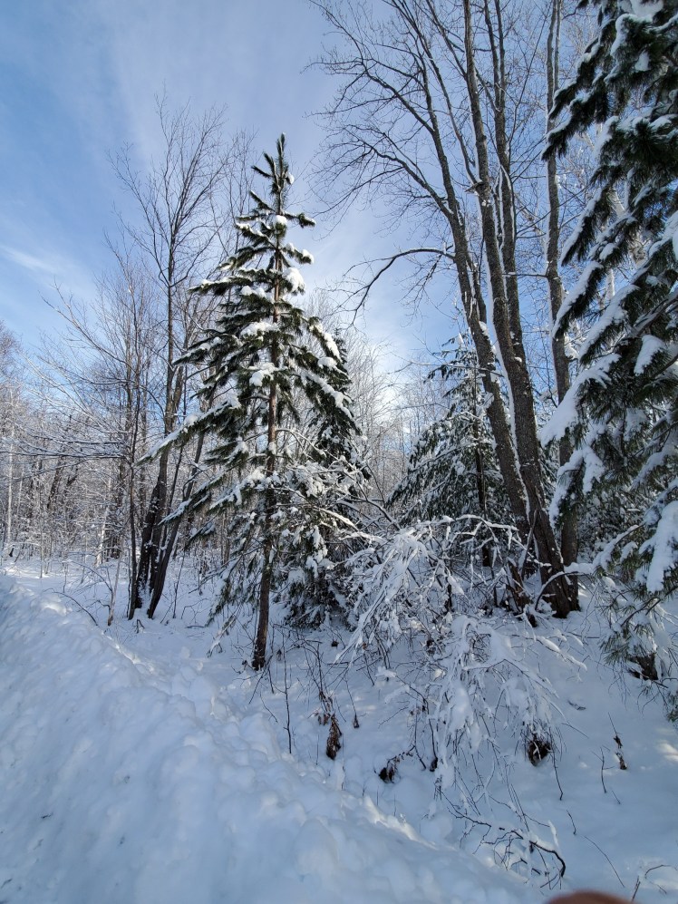 20191130_132518_resized (1)