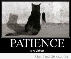 patience